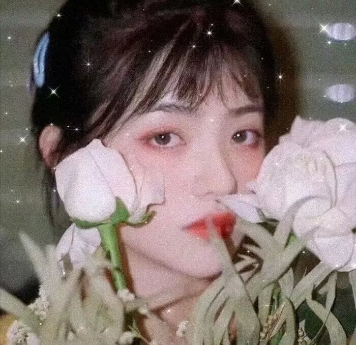 女人韵事